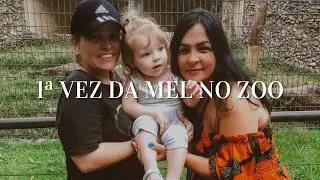 Vlog - Mel reagindo ao zoo pela PRIMEIRA VEZ!