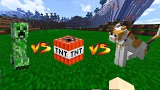 Minecraft Creeper Vs Cat Testing 😂.