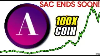 PRESALE ENDS SOON! (100X COIN) PUSDXALGO #crypto #pulsechain