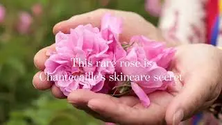 Rose de Mai Collection