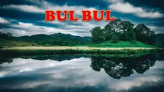 BUL BUL - Mamed Tagirov (AHISKA MÜZIK)(Ахыска)