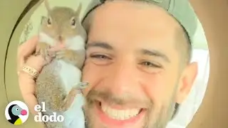 Squirrel keeps returning to rescuer after being released | The Dodo