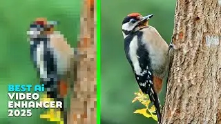 Best AI Video Upscaler 2025 – Enhance Old & Low-Resolution Videos Fast
