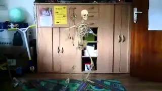Skelet in meinem Zimmer !