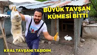 FIRTINAYA YAKALANDIM ! - Erkek Tavşanı Zor Yakaladım - Büyük Tavşan Kümesi Bitti -Tavukları Yemledim