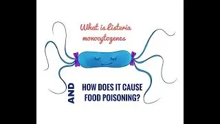 What is Listeria Monocytogenes?