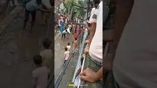 2020 munshidanga sardar para howrah ..supar angry cow 🐄