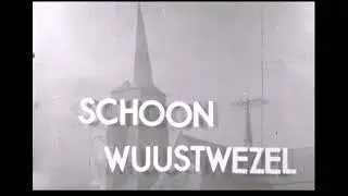 Uit het archief // Schoon Wuustwezel (1953)
