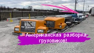 Review of the motor tycoon's business in the USA🇺🇸￼