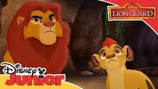 قيادة الأسد الحارس - سيمبا يكشف السر