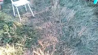Короче говоря, мороженое! Часть 1