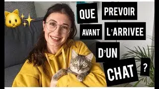 CE QU'IL FAUT ABSOLUMENT AVOIR CHEZ SOI QUAND ON A UN CHAT/CHATON EN APPARTEMENT