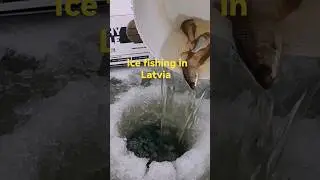 Catch and release 🎣 Ice fishing with Deeper Chirp +2