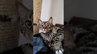 Brother Love 😻🐾 
