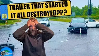 A TESLA CRASHED INTO BIRTLES!