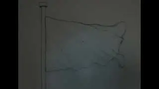 Flag 2D Animation