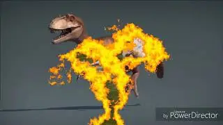 Animals
