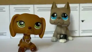 LPS:✧𝓕𝓪𝓵𝓼𝓮✧ [Odcinek #26]