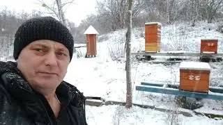 Зимовка на Улице.2023-2024