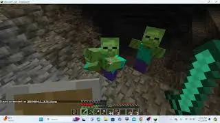cursed minecraft 16