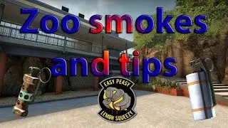 CS:GO - Zoo smokes and tips