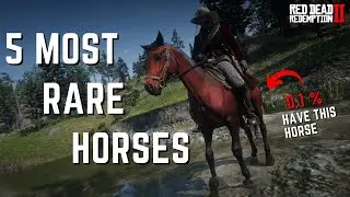 5 Most Rare Horses in Red Dead Redemption 2