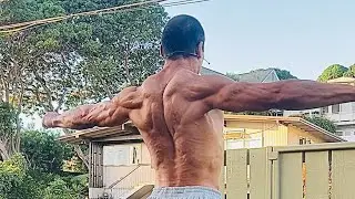 Chest Expander 2/3/24