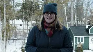 Feeding Birds in the Winter | Cottage Q& A with Michelle Kelly