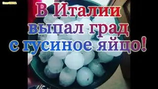 Hurricane and hail with a goose egg Italy August 29, 2020. Complete selection!