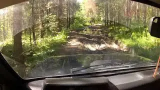 Лесные дороги