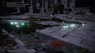 Elden Ring - Mimic Tear the HARD way