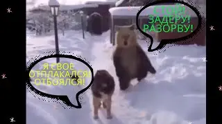 Я своё отбоялся отплакался