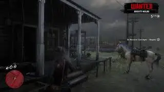 Rdr2 bounty hunting