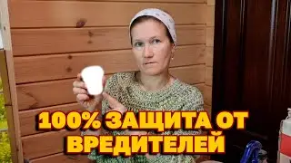 ЧИСТЫЙ ДОМ ОТ МОШЕК СПАСЕТ РАССАДУ ЦВЕТЫ ОТ БЕЛОКРЫЛКИ 