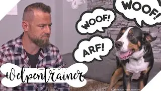 Unerzogener & distanzloser Hund: Was ist zu tun? | Der Welpentrainer | sixx
