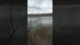 тобол, тюменская область #тобол #тюменскаяобласть #паводок #2024