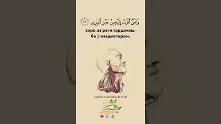 ОГОХ БОШЕД❗ ХУДРО БА ГУНОХ ОЛУДА НАСОЗЕД❗ #islam #ислом #quran #кироат #hadis #куран #амримаъруф #1k