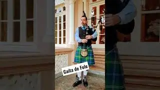 Toca muito #gaitadefole #gaita #shorts
