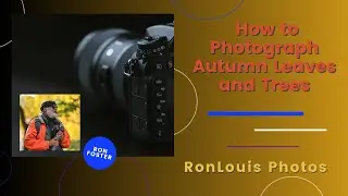 How to Photograph Autumn Leaves and Trees | Ron Foster