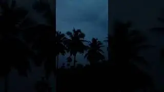 natural #rain #reels #skylook #nature #instareels #eveningrainset #tamilnaduphotography