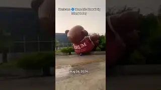 Мы можем это ОСТАНОВИТЬ! #shorts