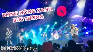 [HD] RockFest 2024 - Bức Tường - Bông hồng xanh