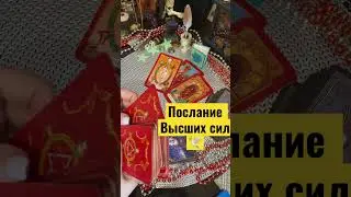Послание Высших сил для тебя 🕊️🩵🤍 #гадание #tarot #tarotonline #cardsreading
