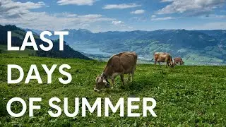 Last Days of Summer