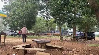 Pasar ternak #uwaisaditya #sapi #pasarternak #pasar @sorotan