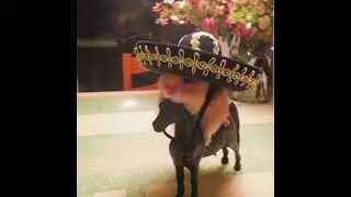 Danza Kuduro - Maitchhh (sped up)