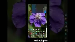 Connect to Net using WiFi Adapter 