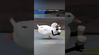 Я утка