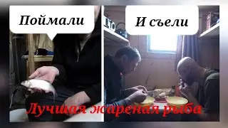 Рыбалка мечты/Зимняя рыбалка на карася/Поймали и съели/Озеро Чаны/февраль 2022/Часть2