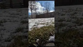 Spring Snow Melt Timelapse! #shortsonyoutube